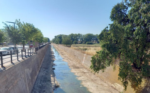 Limpieza cauce rio Magro 2